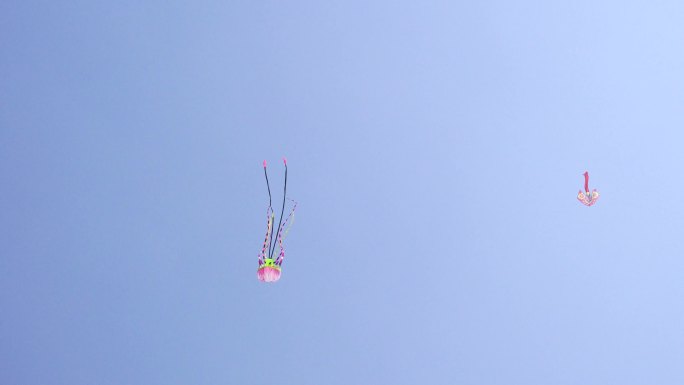 春天清明时节放风筝