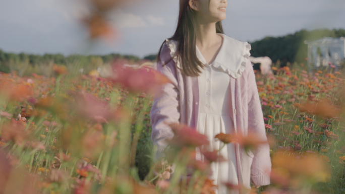 唯美 花海 清新 落日余晖的花海