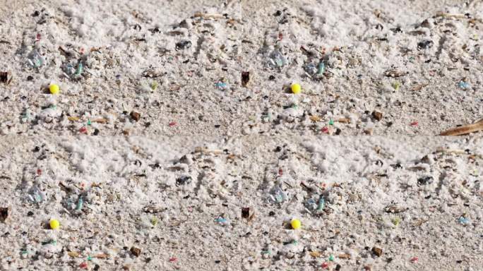 白天散落在沙滩上的微塑料和碎片特写