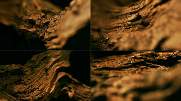 木头纹理枯木树根根雕