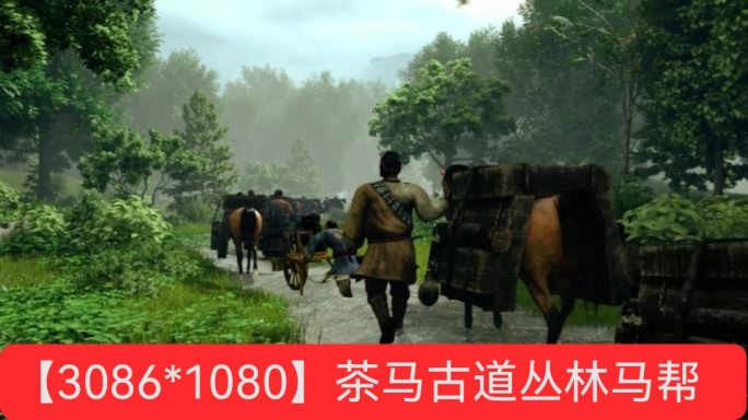 茶马古道_山路丛林马帮