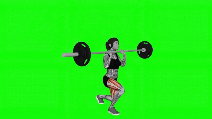 女性做杠铃屈膝弓步练习的3D插图动画，目标肌肉是红色的