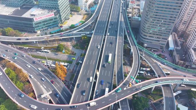 上海杨浦区邯郸路航拍车流马路道路大柏树立