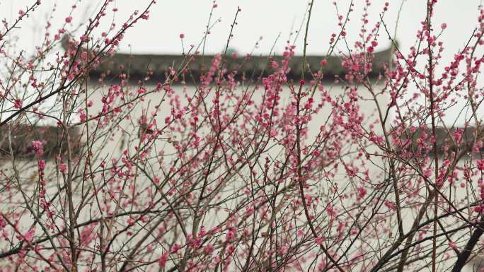 春日细雨中的兰溪地下长河景区