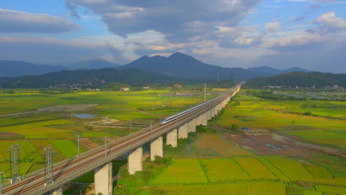 惠州高铁经过稻田进入隧道大景