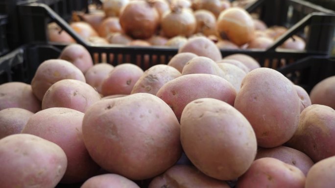 在意大利的一个市场上，质朴的土豆展示提供了泥土的宝藏