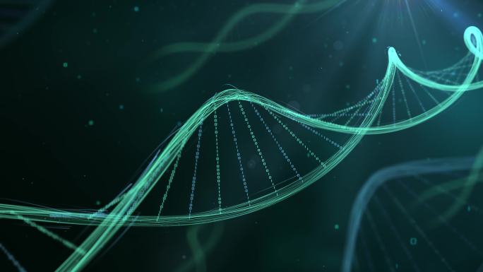 科技DNA基因代码