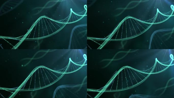 科技DNA基因代码