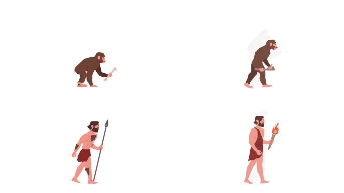 mg动画人类进化过程