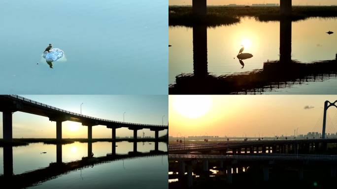 2024大庆风光-湿地大桥夕阳