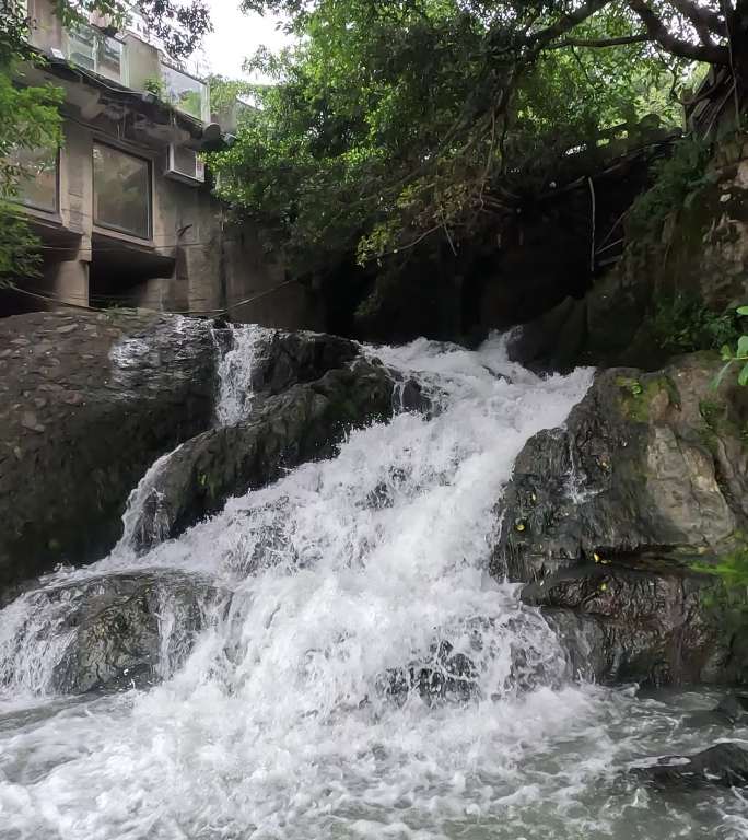 竖屏瀑布溪流水流4K视频