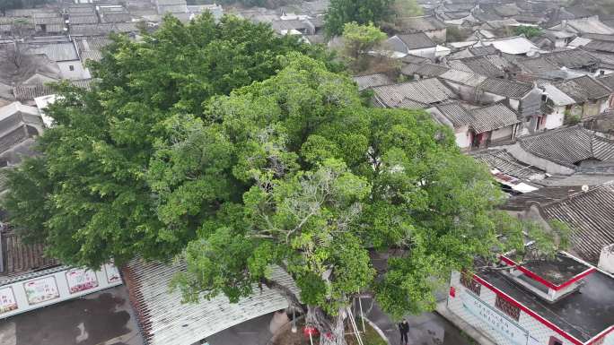 广东揭阳龙湖古寨景观