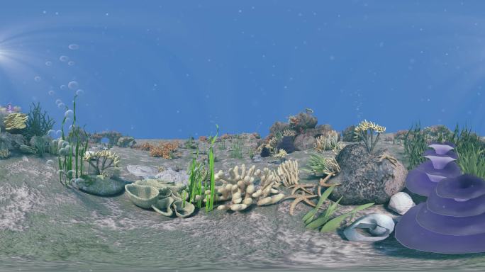 VR_4K海底珊瑚360度全景