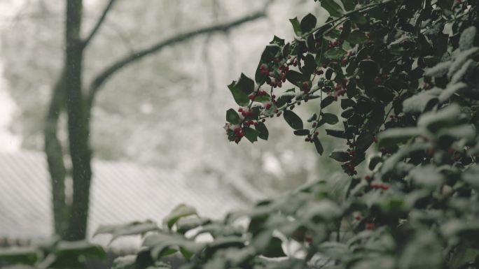 下雪天中式园林景观