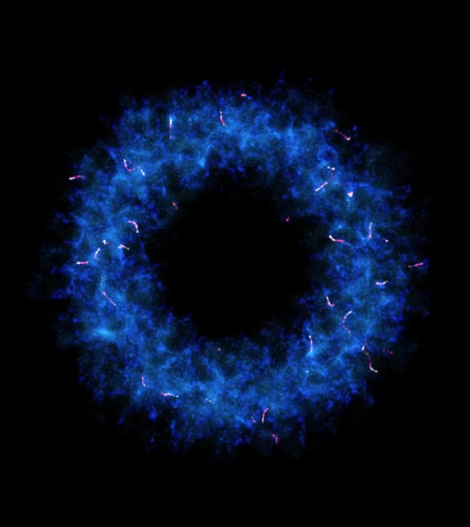 发光的浅蓝色圆圈。发光圆粒子圆。抽象的背景。垂直4K运动视频。