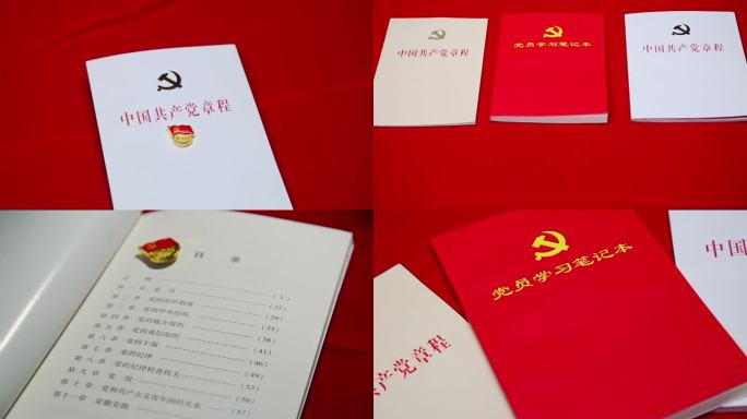 红色党徽党章学习笔记共产党章程