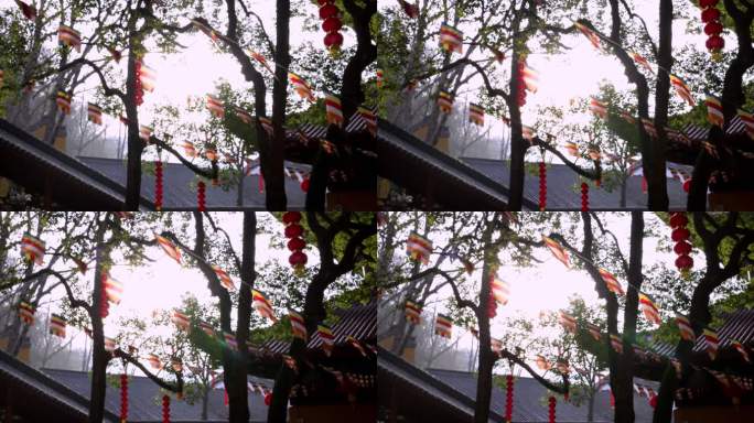 杭州上天竺法喜寺阳光透过树叶