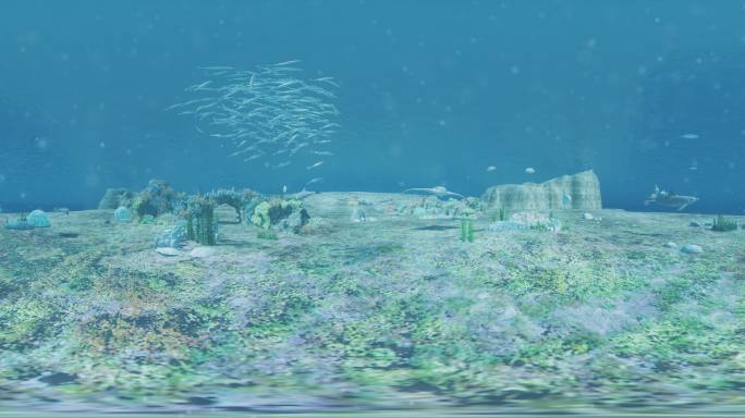VR_4K海底世界360度全景