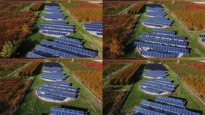 在希腊农村，太阳能电池板阵列推动了革命性的农业发展