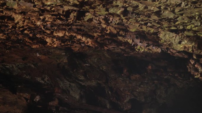 澳大利亚黄金海岸附近天然桥的洞穴里的小弯翼蝙蝠群