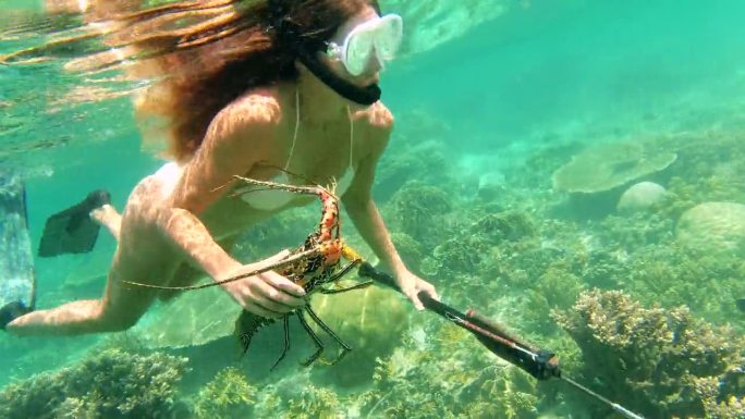 鱼叉钓鱼，浮潜和龙虾与女人在水下游泳，旅行和冒险。热带，狩猎和潜水员与年轻人和鱼叉在海上的暑假，鱼和