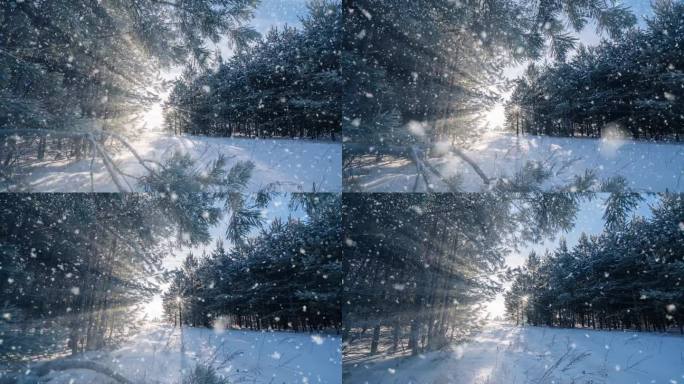 冬季景观与美丽的降雪，延时，相机运动，超延时