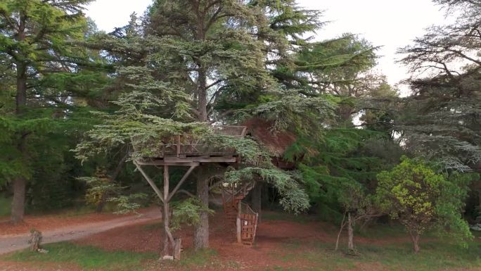 阿尔布西耶圣让庄园的树屋。法国蒙彼利埃