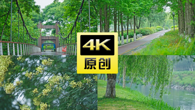 成都清水河公园4k高清春游踏青赏景游玩