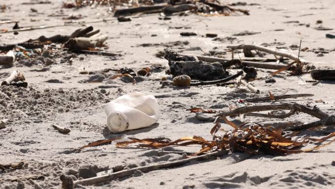 阳光海滩上的塑料污染，散落的垃圾和海藻，环境问题