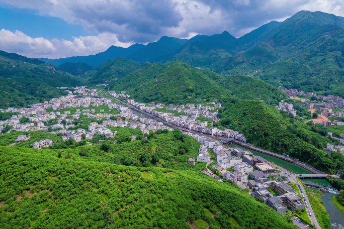 广东茂名信宜钱排 双合三华李种植基地