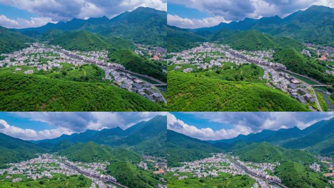 广东茂名信宜钱排 双合三华李种植基地