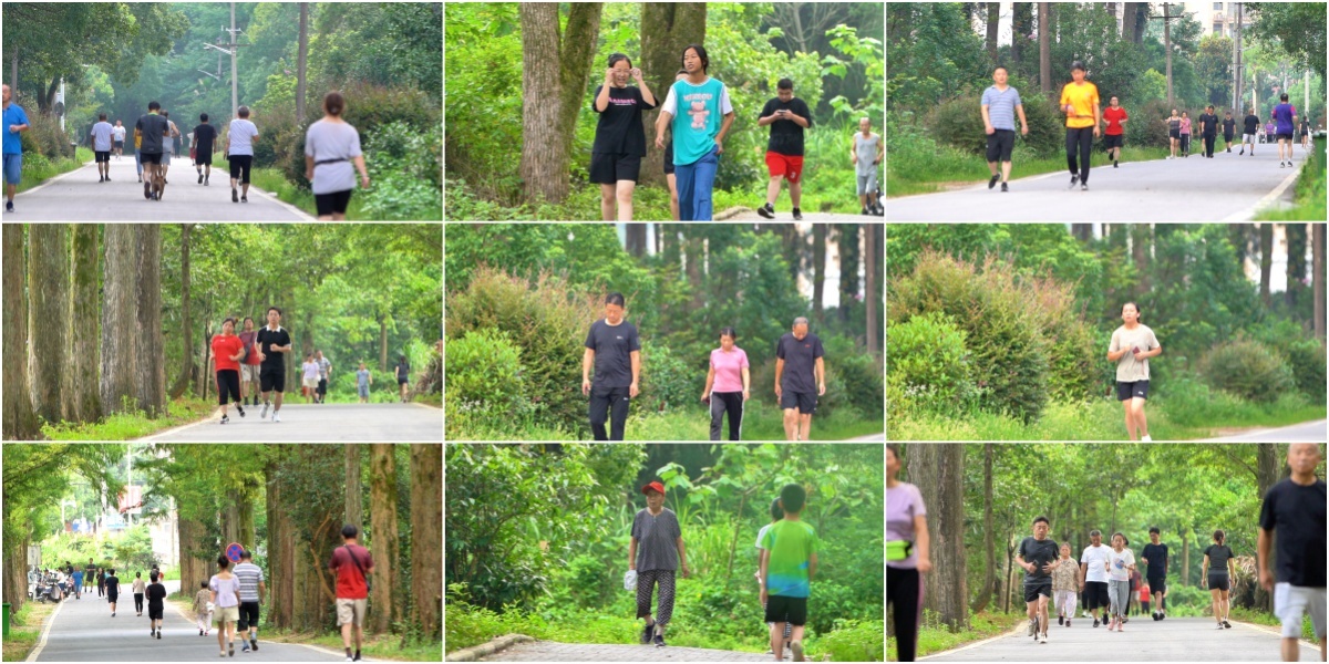 晨练跑步锻炼运动 林中跑步 户外减肥训练