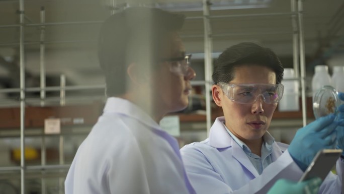 两名男性科学家在实验室的培养皿上讨论