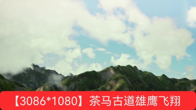 雄鹰雪山 戈壁 马队 茶马古道