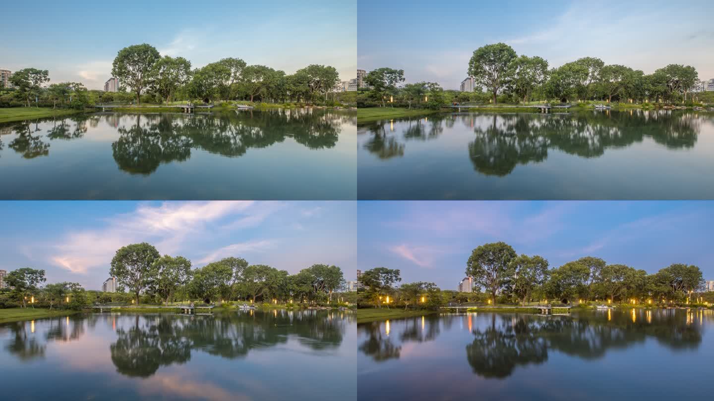 深圳公园景观绿树4K延时摄影