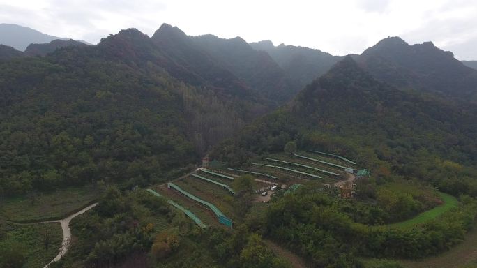 蜜蜂养殖基地（3）