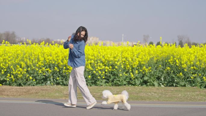 青春美女和可爱泰迪犬在春天油菜花田野玩耍