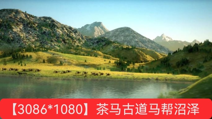 茶马古道_马帮马蹄草地劳作