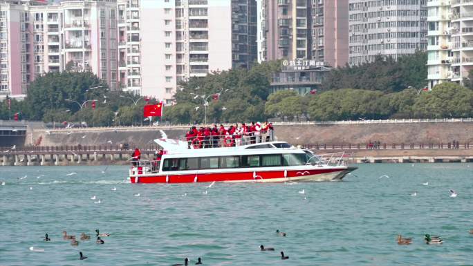 升格拍摄四川绵阳冬天阳光下的海鸥和江水