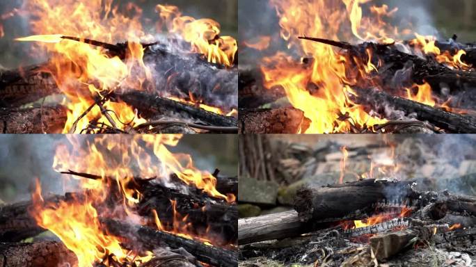 火焰 燃烧的木材 野外