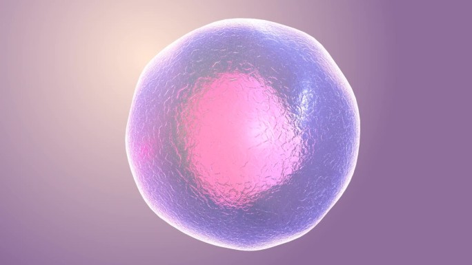 动画人体微细胞。