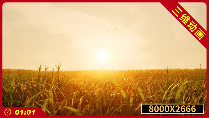 金色麦浪麦穗舞台背景8K宽屏希望的田野