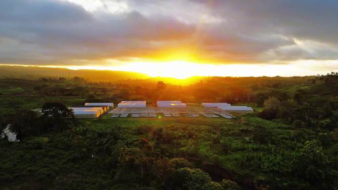 巴布亚新几内亚自然风景日落航拍
