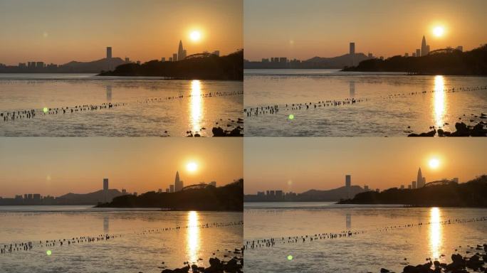 深圳湾公园海边落日
