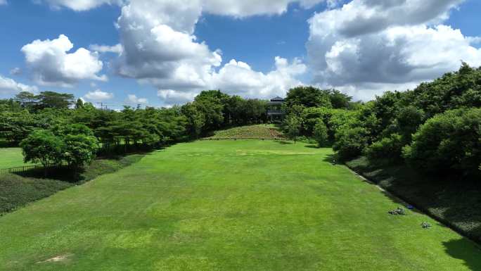 南山区大沙河公园青青草地