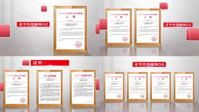 红色荣誉证书专利展示