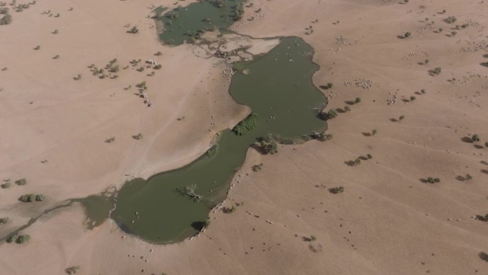 鸟瞰360度。在北非撒哈拉沙漠萨赫勒地区贫瘠的土地上，为牛群建造的人工水坑。干旱，气候变化，沙漠化