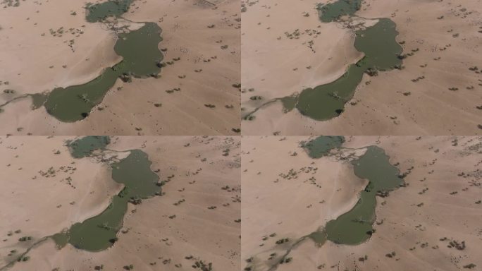 鸟瞰360度。在北非撒哈拉沙漠萨赫勒地区贫瘠的土地上，为牛群建造的人工水坑。干旱，气候变化，沙漠化