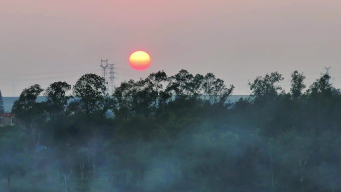 广东湛江徐闻菠萝地海高清视频