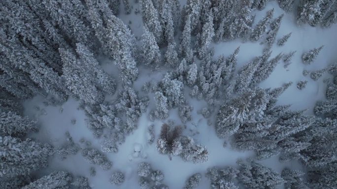 Berthoud Berthod Jones Pass空中无人机冬季仙境公园科罗拉多州大雪暴雪深粉滑